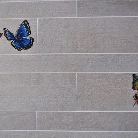 B&B La Casa D'Artista Ortignano Raggiolo Exteriör bild