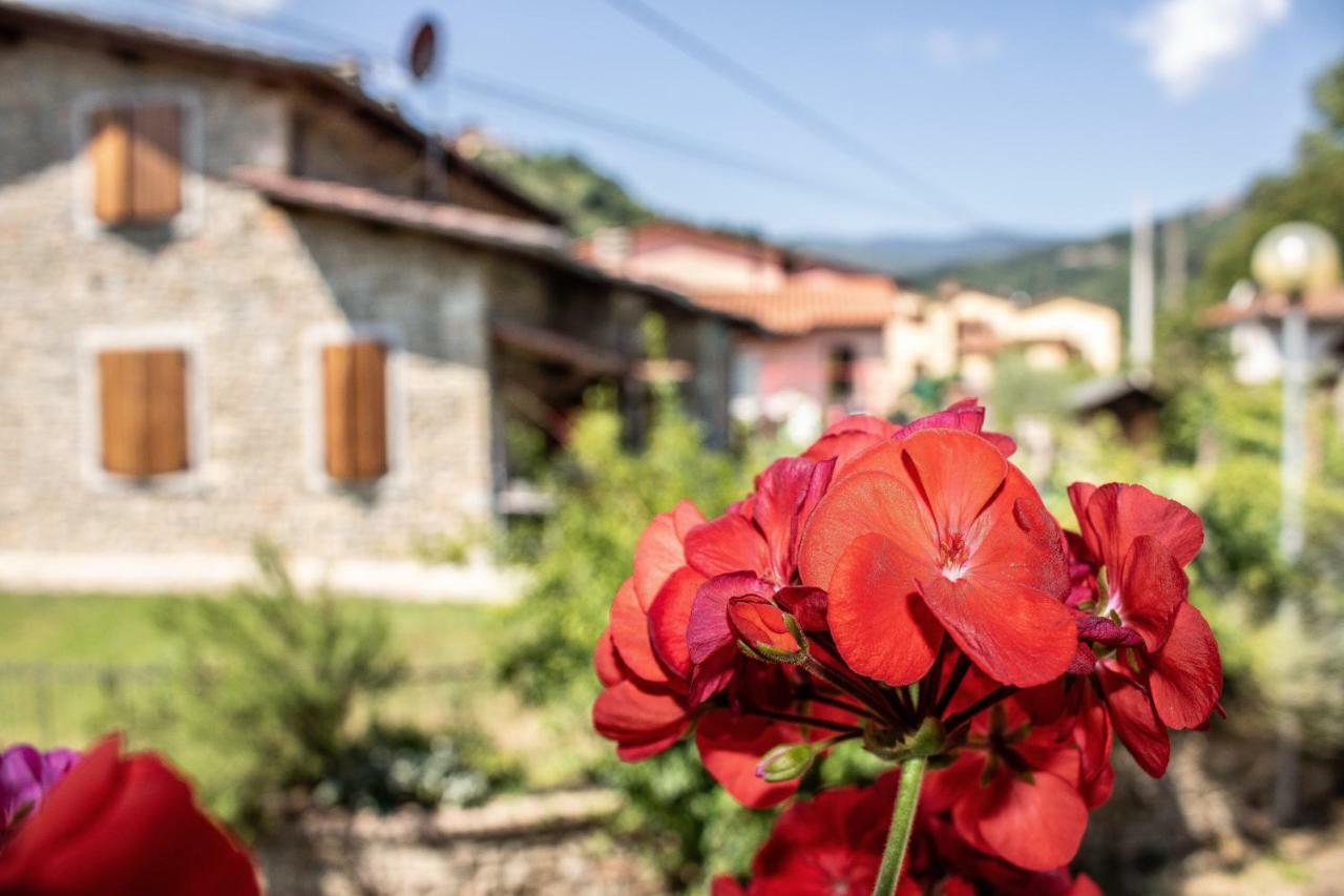 B&B La Casa D'Artista Ortignano Raggiolo Exteriör bild